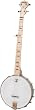 Deering Goodtime 5-String Banjo