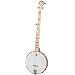 Deering Goodtime 5-String Banjo