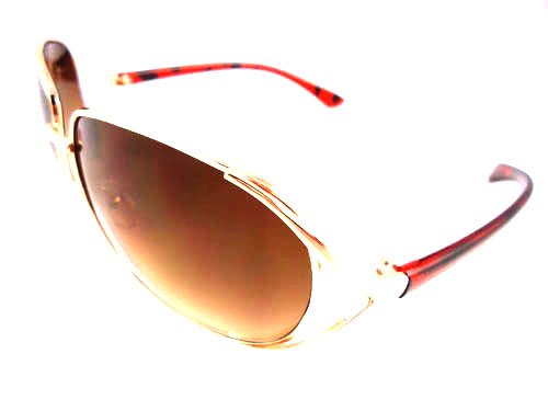 Envision Eyewear Gold Trim and Tortoise Shell Sunglasses