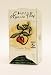 Green Tea With Essence Of Peach Tea-Organic - 20 - Bag