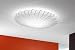 Muse ceiling 80