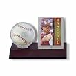 Ultra-Pro Dark Wood Baseball and Card Holder (Quantity of 6)