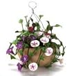 Dollhouse Miniature Artisan Hanging pot of Mixed Flowers