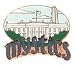 Washington Mystics WNBA City Pin