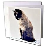 image link - - B000VG54WW