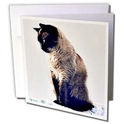 image link - - B000VG54WW