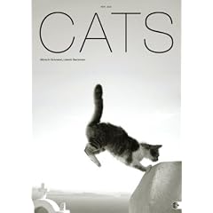 Cats Kalender 2010
