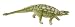 Carnegie Collection- Ankylosaurus