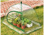  : GreenThumb Pop-Up Greenhouse