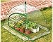 Search : GreenThumb Pop-Up Greenhouse