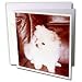   - Dogs Pomeranian - White Pomeranian - Greeting Cards-12 Greeting Cards with envelopes