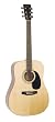 Recording King Classic Series I Acoustic Dreadnaught Guitar (Mahogany)
