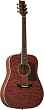 Washburn D10 Series Acoustic Guitar