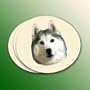 NEW! Neoprene Siberian Husky Coasters Set of 4