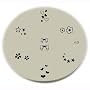 Konad Stamping Nail Art Image Plate - M3