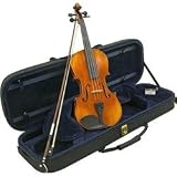Bellafina Model 50 violin outfit 4/4