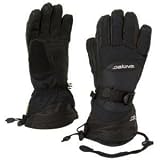Buy DAKINE Cougar Gloves - Women's
