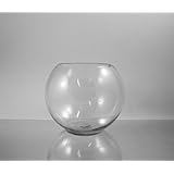WGV Clear Bubble Bowl Glass Vase, 10-Inch