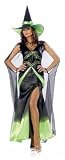Fabulous Witch Green Adult Costume Size X-Large