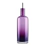 Typhoon Classic Amethyst Coloured Glass Drizzler with Stainless Steel Pourer