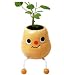 Taterpot Slim BASIL Herb Plant
