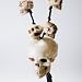 Toys : Pirates Skull Necklace