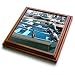 Albom Design Seascapes - Dinghies Lined Up at Cabo San Lucas Los Cabos Mexico - Trivets