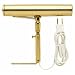 Westinghouse Lighting 75050 Picture Light