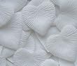 Heart Shaped Silk Rose Petals Wedding Favors Decor - 1000 Count - White