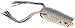 SPRO Fishing Bronzeye Baby Pop Bait-Pack of 1, Nasty Shad