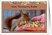 Thanksgiving, Bubbie, Red Squirrel Eats Seeds From Hand Card