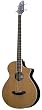 Breedlove Atlas Stage BJ350/CR4  Acoustic Electric Bass