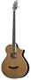Breedlove Atlas Stage BJ350/CR4  Acoustic Electric Bass