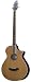 Breedlove Atlas Stage BJ350/CR4  Acoustic Electric Bass