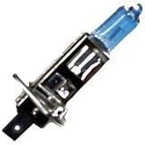 2 55W WHITE XENON BULBS