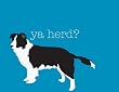 YA HERD?: Heard the news?