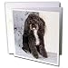   - Dogs Poodle - Black and white Toy Poodle - Greeting Cards-12 Greeting Cards with envelopes
