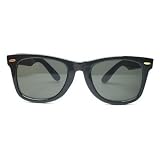 Black Wayfarer Blues Brother Sunglasses with Smoke Lens