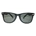 Black Wayfarer Blues Brother Sunglasses with Smoke Lens