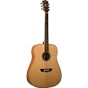 Acoustic Electric Guitar