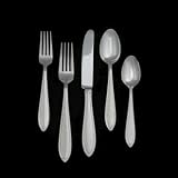 Wedgwood 5700140016 India Stainless Cake Server