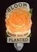 Bloom Where You Are Planted Night Light Ibis and Orchid Design