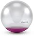 Sporting Goods : Reebok Gymball 65 cm (Including Dvd) - Performance Blue