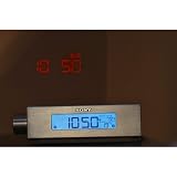 Sony ICFC717PJ Nature Sounds Clock Radio