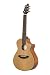 Breedlove Passport C250/CM, T Guitar