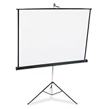 Quartet Portable Tripod Projection Screen, 60 x 60 Inches, High-Resolution, Matte Surface (560S)