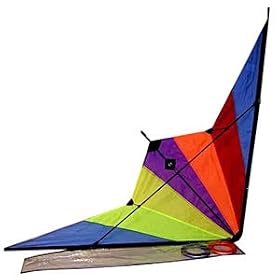 Aerobatic Sports Stunt High Speed Power Kite