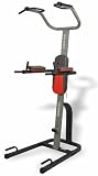 31T M1QlNTL. SL160  Elite Fitness Deluxe Power Tower