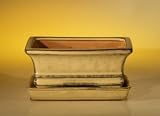 Bonsai Boy's Ceramic Bonsai Pot With Matching Humidity/Drip tray- Rectangle<br>6.37 x 4.75 x 2.625
