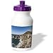 Danita Delimont - Coastlines - California, Big Sur, Coastline, Bixby Bridge - US05 WBI1195 - Walter Bibikow - Water Bottles 31T ZXDTRUL. SL75 From the Redwoods of <b>California</b> to the Deadwoods of Carolina